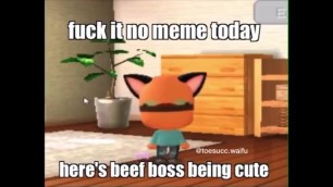 Beef Boss going at it